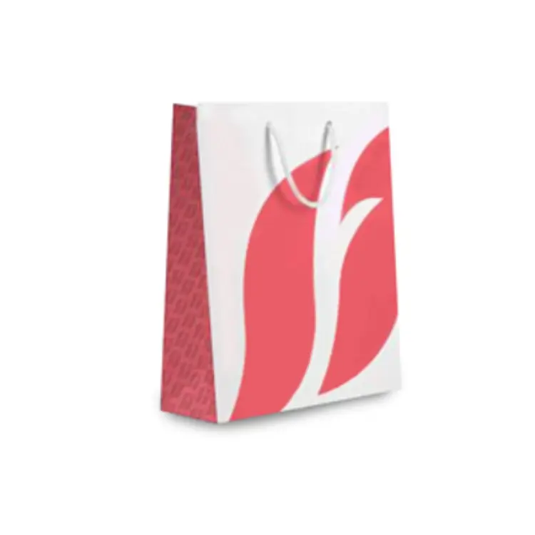 image of Carton Bag Big- Coral
